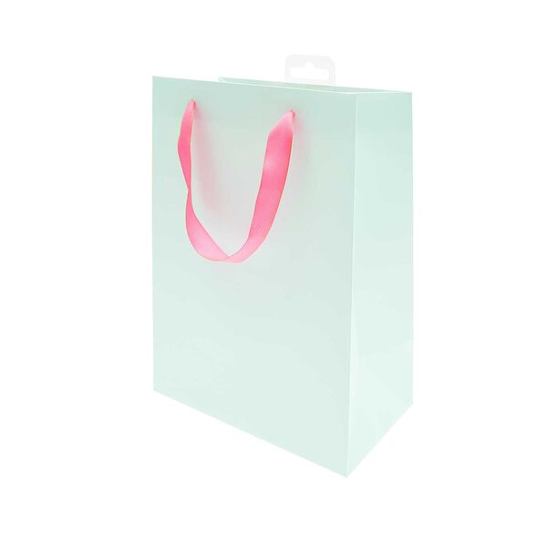 Sac cadeau menthe 26 x 18 cm