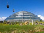 SMARTBOX - Coffret Cadeau ZooParc de Beauval 2026 : entrée 1 adulte (1 journée) -  Multi-thèmes