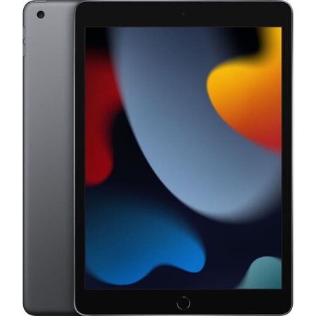 Apple ipad (2021) 10 2 wifi - 64 go - gris sidéral