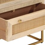 vidaXL Commode 55x30x76 cm bois massif de manguier et fer