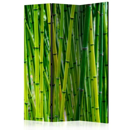 Paravent 3 volets - bamboo forest [room dividers] cm
