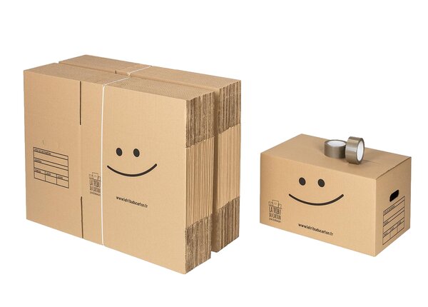 Pack 40 cartons standard avec poignées + 2 adhésifs offerts