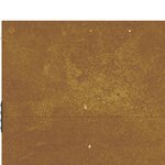 vidaXL Portail de jardin 85x75 cm acier corten