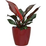 ARTEVASI - Pot san remo auto-arrosage 36cm rouge foncé 36 x 36 x h33,5 cm - 1,44l