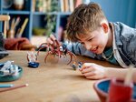 Set LEGO® Harry Potter™ 76434 : Aragog et la Forêt Interdite - Aventure Magique pour Enfants