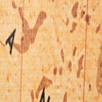 vidaXL Cloison de séparation pliable 120 x 170 cm Carte du monde Jaune