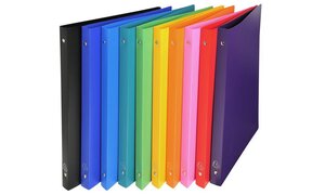 Classeur 2 anneaux 15mm polypropylène OPAK - A4 - Coloris Aléatoire x 10 EXACOMPTA