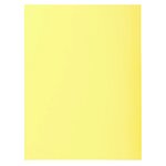 Paquet 100 Chemises Super 210 - 24x32cm - Canari - X 5 - Exacompta