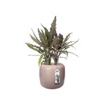 Pure Beads Small 40 rose granité