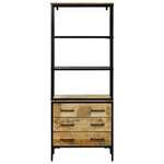vidaXL Haut Armoire Marron 70 x 35 x 180 cm Bois de manguier massif