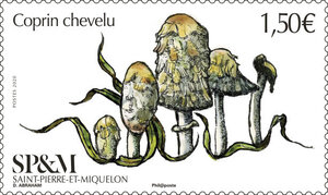 Timbre Saint Pierre et Miquelon - Coprin Chevelu