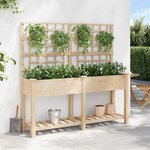 vidaXL Cache-pot de jardin avec étagère Beige 161 x 46 x 152.5 cm
