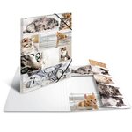 Chemise à Rabats et Elastiques Cartonnée Format A3 CHAT HERMA