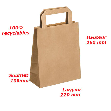 Lot de 250 sacs cabas en papier kraft brun marron havane avec poignée plate 220 x 100 x 280 mm 6 Litres résistant papier 80g/m² non imprimé