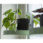 Esschert Design Plateau suspendu pour plantes Rond Vert L