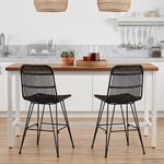 vidaXL Chaise de salle à manger 2 pc Rattan et Acier Noir