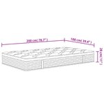 vidaXL Matelas à ressorts ensachés moyen plus 100x200 cm
