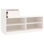 vidaXL Armoire à chaussures Blanc 110x34x61 cm Bois de pin massif