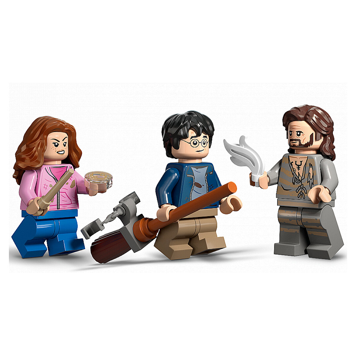 LEGO® Harry Potter 76401 - La Cour de Poudlard : le Sauvetage de