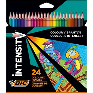 Etui de 24 Crayons de Couleur Triangulaire Intensity Assortis BIC