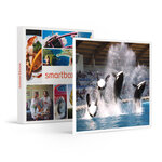 Journée au parc marineland d'antibes pour 2 adultes et 2 enfants - smartbox - coffret cadeau sport & aventure