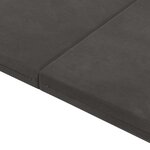 vidaXL Canapé-lit pliable 140 x 67 x 15 cm Gris foncé