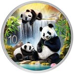 Pièce de monnaie en Argent 10 Yuan g 30 Millésime 2025 CHINA PANDA