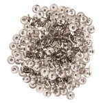 300 punaises argentées