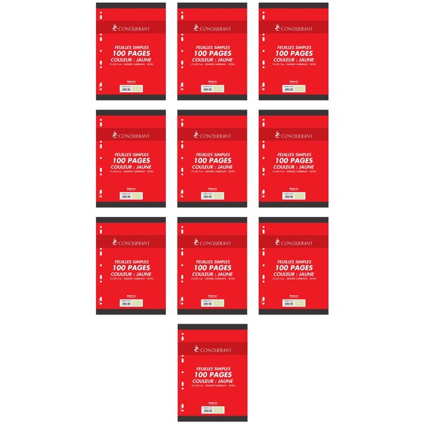 Feuillets mobiles 21x29 7 cm 100 pages grands carreaux jaunes 80g x 10 OXFORD
