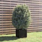 vidaXL Jardinière d'extérieur Noir 40x40x40 cm Bois de pin massif
