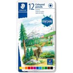 Crayon couleur design journey  étui métal de 12 staedtler