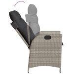 vidaXL Chaises inclinables jardin lot de 2 et coussins résine tressée
