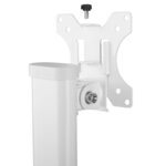 Newstar support de bureau réglable pour moniteur 10"-30" 6 cm blanc