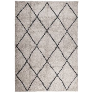 vidaXL Tapis shaggy à poils longs moderne beige anthracite 120x170 cm