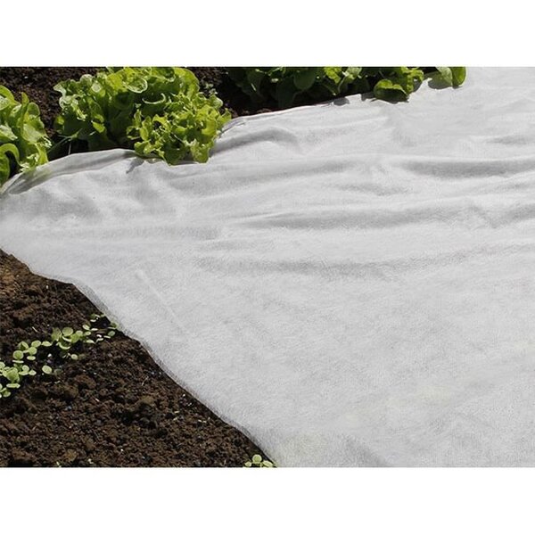 NATURE Voile de forçage 30 g/m² - 2 x 100 m - Blanc