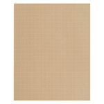 Pochette kraft armé brun 229 x 324 mm 130 g - boîte de 250 - gpv