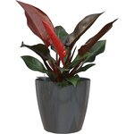 ARTEVASI - Pot san remo auto-arrosage 36cm anthracite 36 x 36 x h33,5 cm - 1,44l