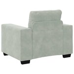 vidaXL Fauteuil Gris clair 60 cm Velours