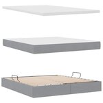 vidaXL Lit de rangement LED avec matelas Gris clair 160 x 200 cm Tissu