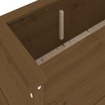 vidaXL Lit surélevé de jardin brun miel 119 5x40x39 cm bois pin massif