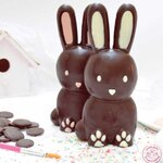 Moule 3D Choco Lapin