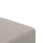 vidaXL Canapé-lit à 2 places gris clair velours