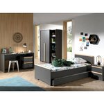 Vipack Table de chevet 2 tiroirs London Bois Anthracite
