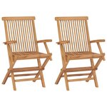 vidaXL Chaises pliables de jardin lot de 2 Bois de teck solide