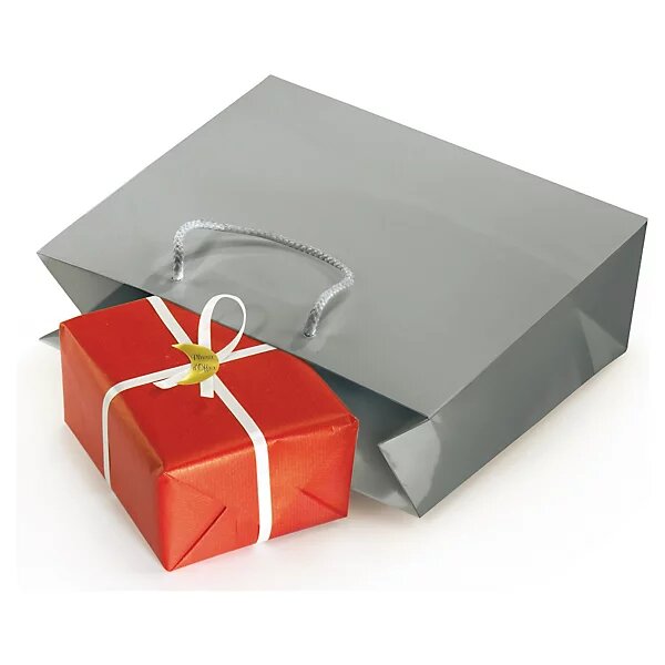 Sac pelliculé brillant gris souris à poignées cordelières 19 x 27 x 10 cm (lot de 25)