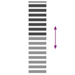 vidaXL Store zèbre noir 65x200 cm largeur du tissu 60 9 cm polyester