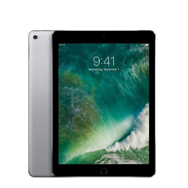iPad Pro 9.7' (2016) - 128 Go - Gris sidéral - Très bon état