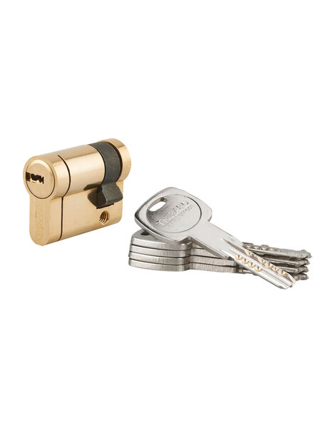 THIRARD - Demi-cylindre de serrure Trafic 12  30x10mm  laiton  anti-arrachement  anti-perçage  anti-casse  5 clés - THIRARD