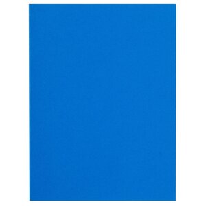 Paquet De 100 Chemises Flash 220 100  Recyclé - 24x32cm - Bleu Foncé - X 5 - Exacompta