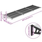 vidaXL Auvent de porte Noir et transparent 297 5x90 cm Polycarbonate